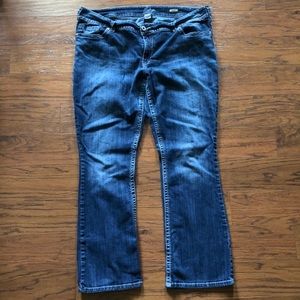 Silver Jeans - Plus size